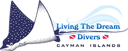DreamOps for Dive Resort